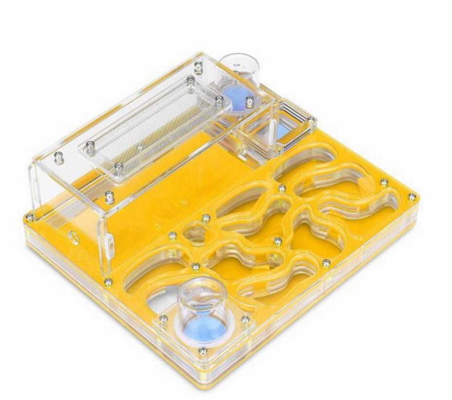 Acrylic Plane Ant Nest Instead Of Ant Workshop
