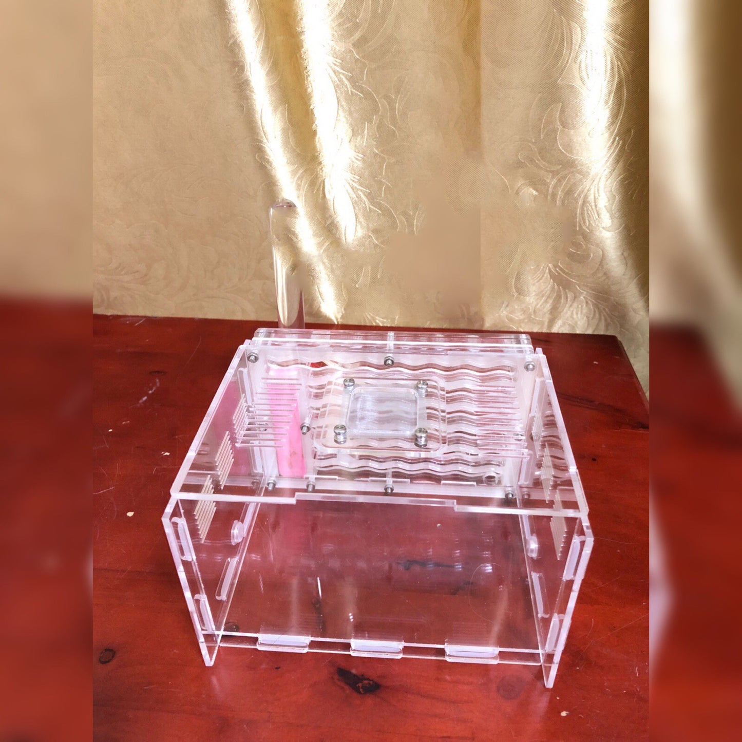 Diverse Acrylic Ant Workshop Ground King Ant Nest