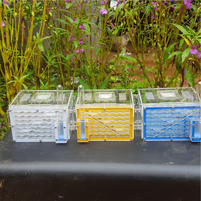 Diverse Acrylic Ant Workshop Ground King Ant Nest