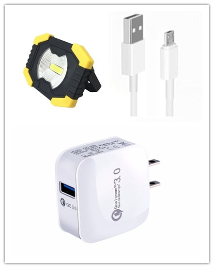 Multi-function portable lamp mini flood light