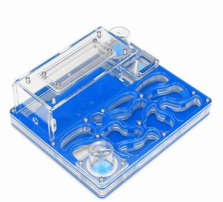 Acrylic Plane Ant Nest Instead Of Ant Workshop