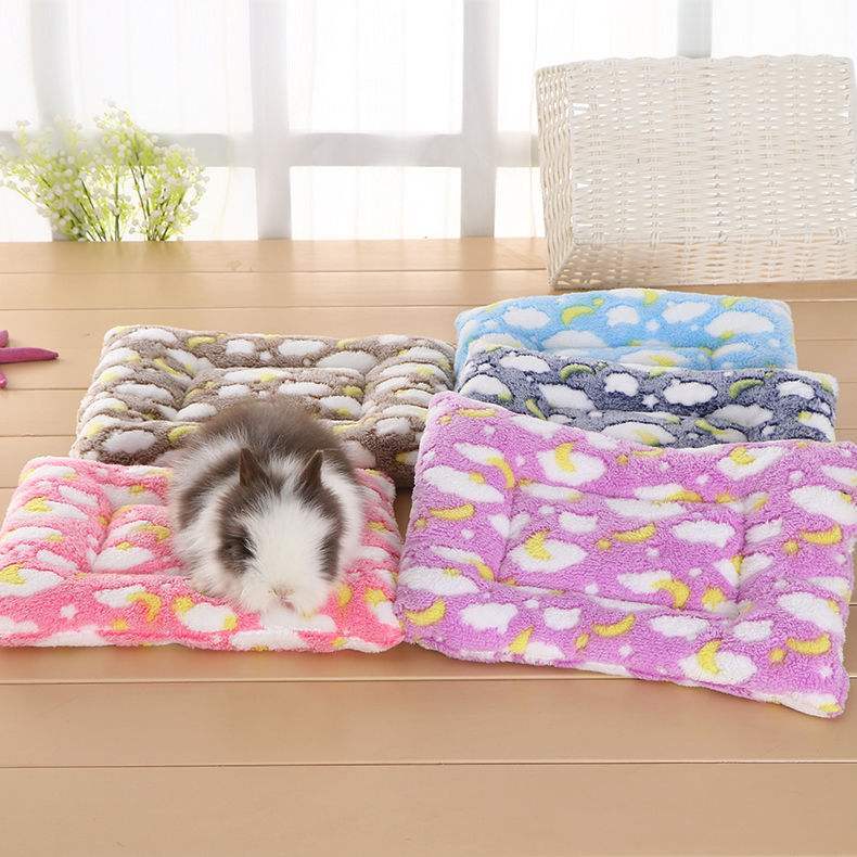 Pet rabbit cotton pad