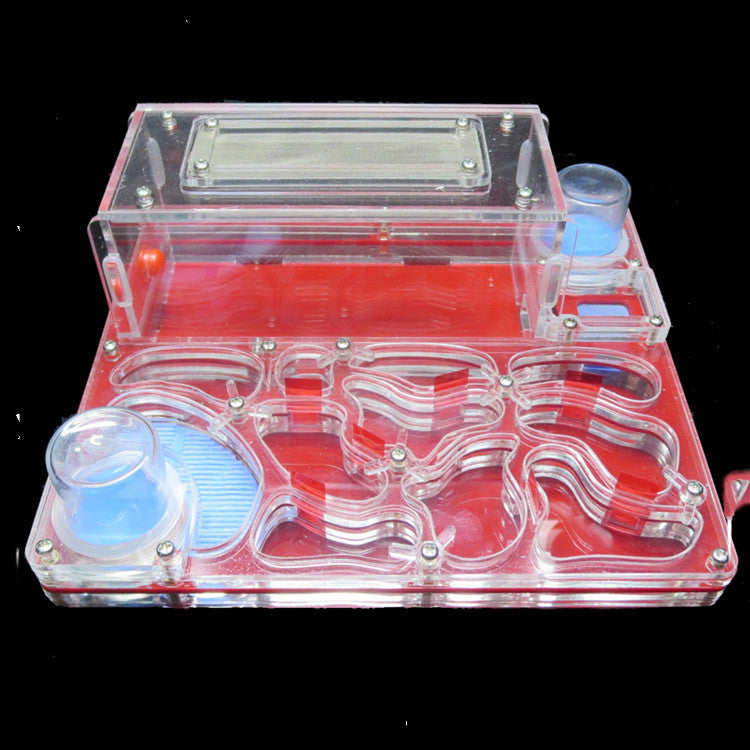 Acrylic Plane Ant Nest Instead Of Ant Workshop