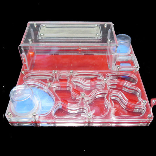 Acrylic Plane Ant Nest Instead Of Ant Workshop