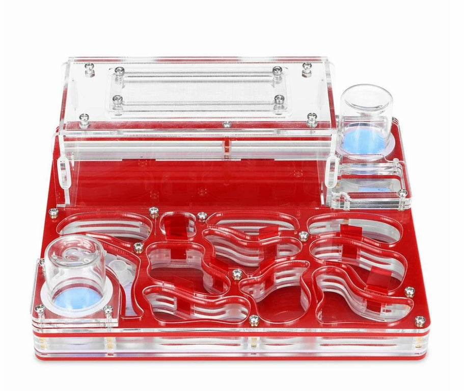 Acrylic Plane Ant Nest Instead Of Ant Workshop