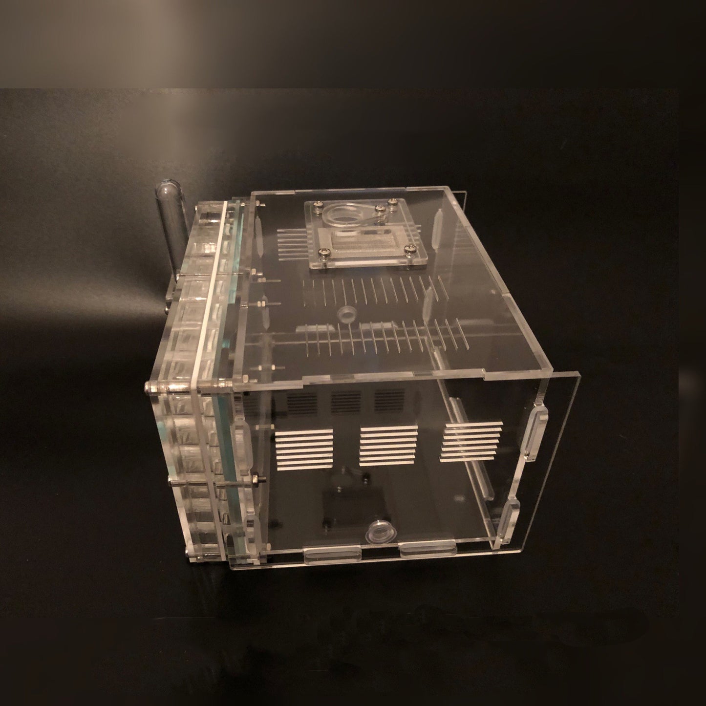 Diverse Acrylic Ant Workshop Ground King Ant Nest