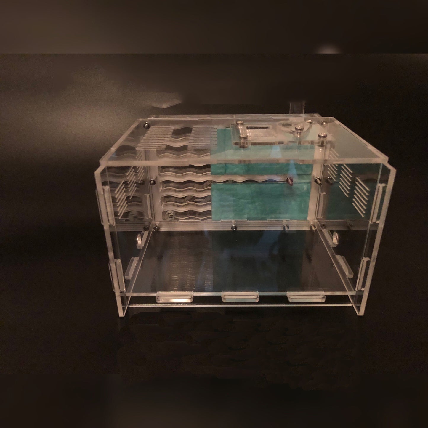 Diverse Acrylic Ant Workshop Ground King Ant Nest