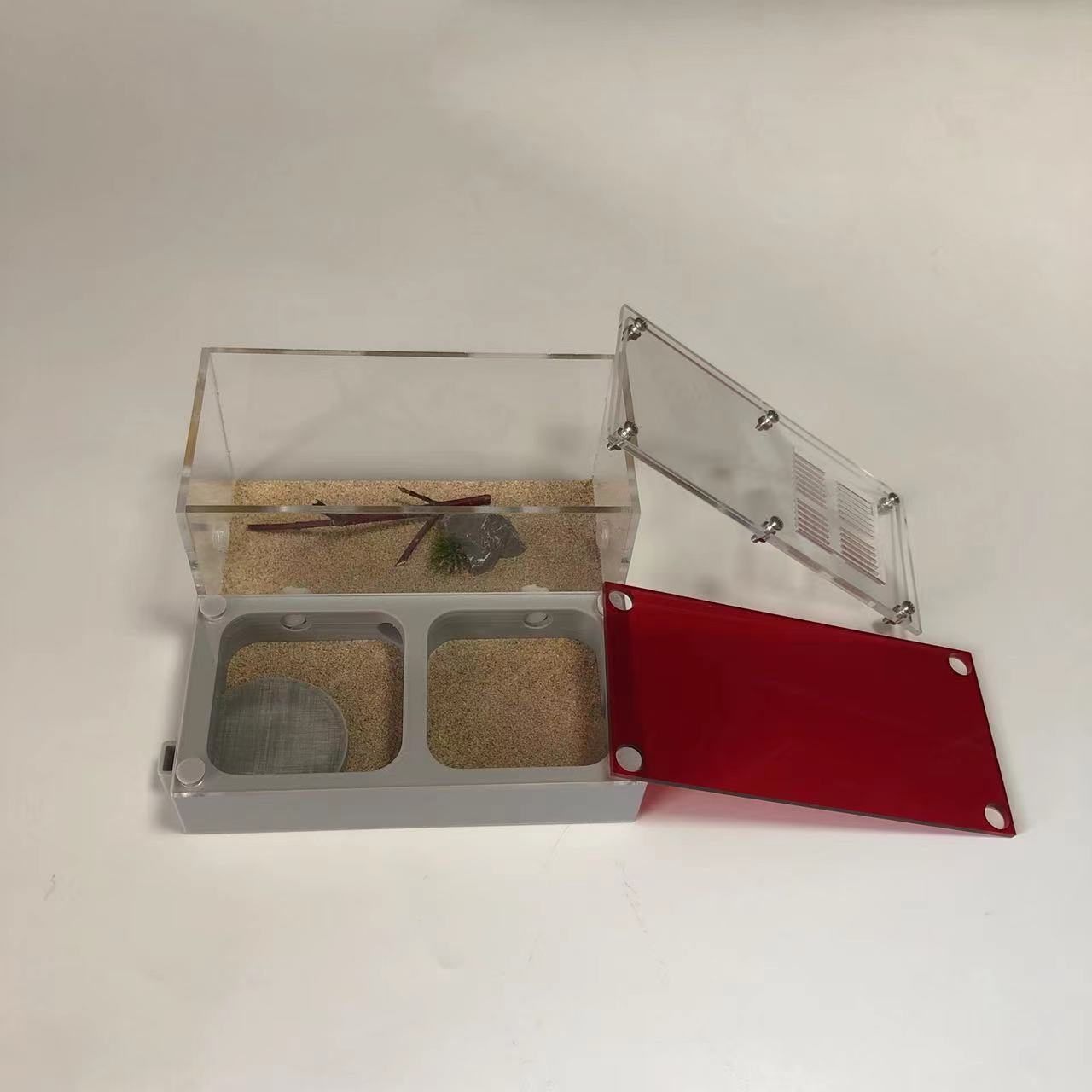 Ant Nest Ant Workshop Ant Castle