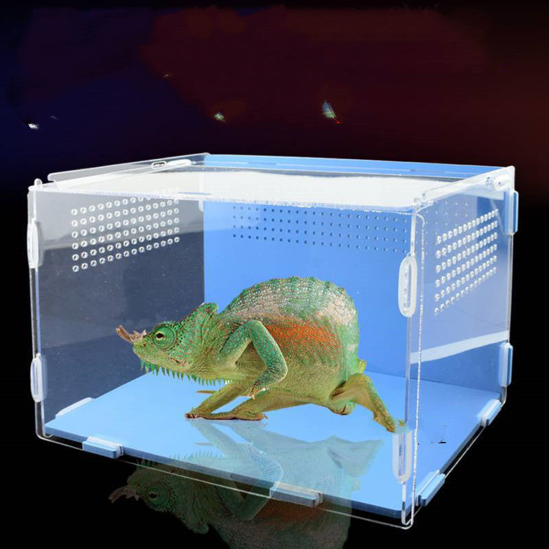 Reptile Tank Feeding Thermal Box Acrylic Transparent