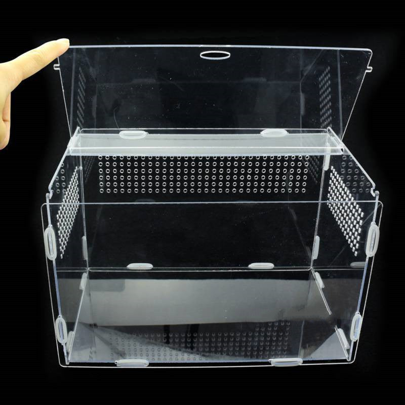 Reptile Tank Feeding Thermal Box Acrylic Transparent
