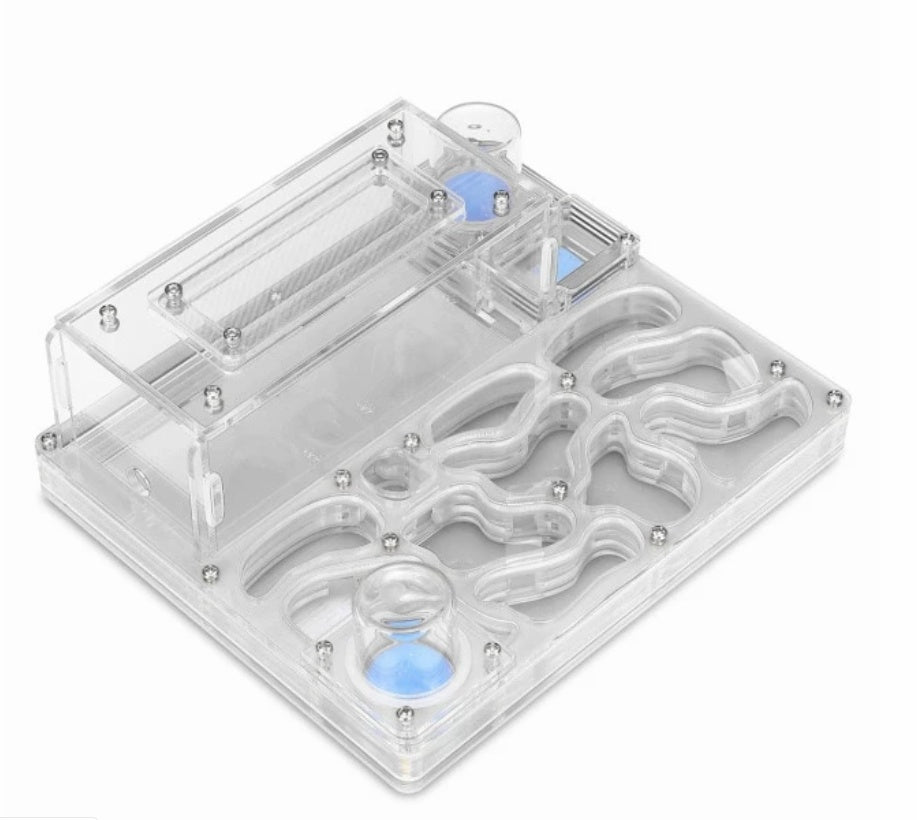 Acrylic Plane Ant Nest Instead Of Ant Workshop