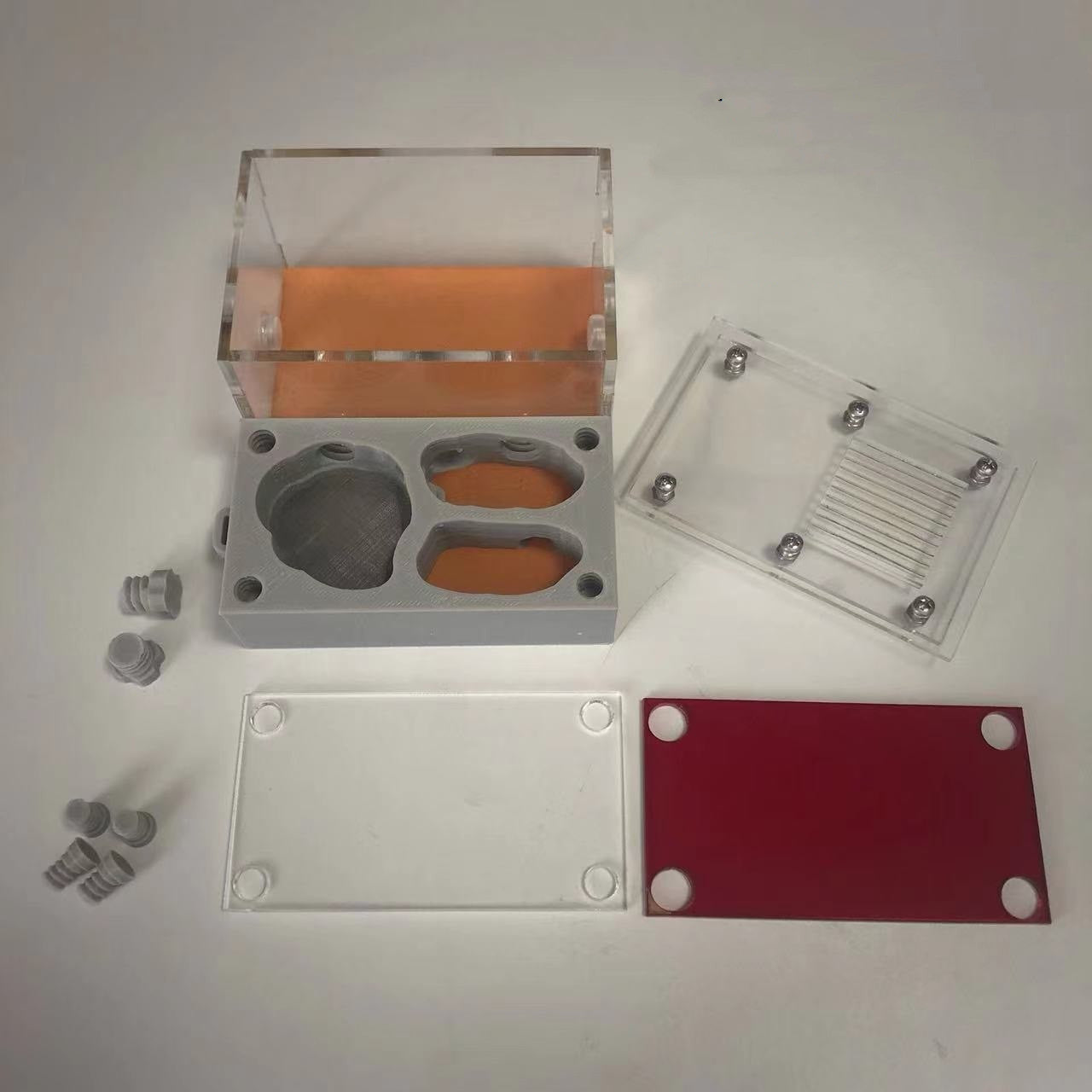 Ant Nest Ant Workshop Ant Castle